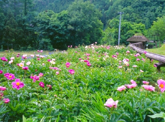 minamiaizu